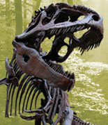 Fernbank Museum of Natural History