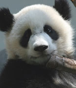 Zoo Atlanta