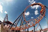 Wild Adventures Rollercoasters