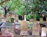 Sue Howard's Ghost