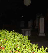 Oooooo! There's a Graveyard Ghost