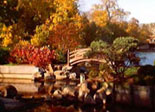 Osaka Japanese Garden