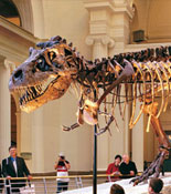 Field Museum