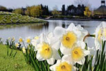 23 Gardens on Island and Lakes
