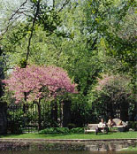 Botanical Gardens