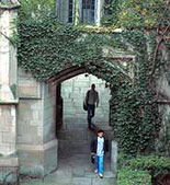 University of Chicago Architecture