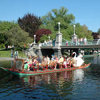 Swan Boats