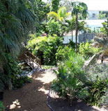 Hemingway's Gardens