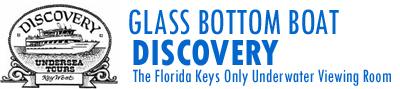 Glass Bottom Boat Discovery