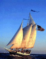 Sail on the Open Waters