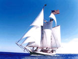Liberty Clipper