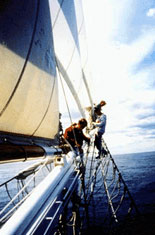 Watch the Crew Raise Sail
