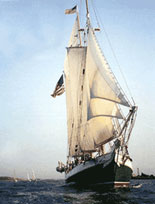 Liberty Clipper