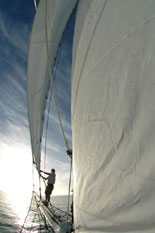 The Towering Masts of the Key West's Most Famous Historic Ship