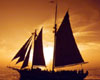 Key West Sunset Sail on the Schooner Western Union