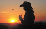 Enjoy the View