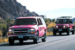 Pink Jeep Tours