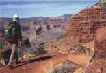 Bo Guardrails