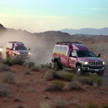 Explore the natural side of Las Vegas! 