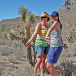 Joshua Tree Forest
