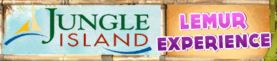 Lemur Experience at Jungle Island