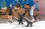 Seal Show