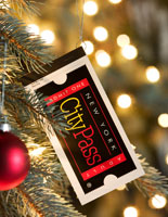 City Pass Winter Special