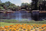 Silver Springs