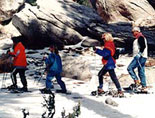 Cross-Country Skiing