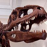Academy of Natural Sciences