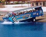 San Diego Seals