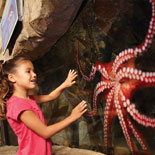 Sea Life of Legoland