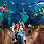 Sea Life Aquarium