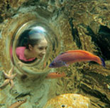 An Experience Like No Other!
