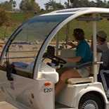 Africa Tram Safari