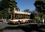 Zoo Transportation