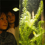 Exploratorium