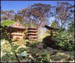 Japanese Tea Garden