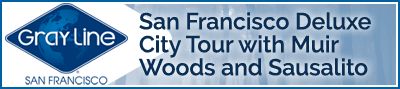 City Tour of Muir Woods and Sausalito