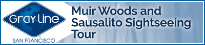 Muir Woods and Sausalito tour