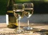 wine tasting tour
