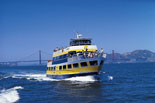 blue and gold fleet cruise