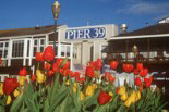 san francisco pier 39