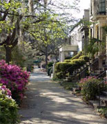 Old Savannah