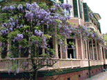 Savannah Homes