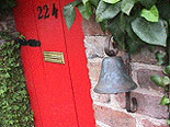 History and Culture of Savannah