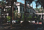 Tree Line Streets & Beautiful Squares