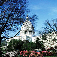 Capitol Building in Washington DC