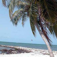 Key West Beaches