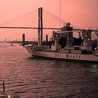 Savannah River